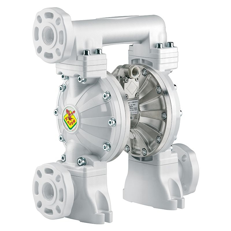 Bơm màng khí nén Raasm Italy 2B7/26117EAI