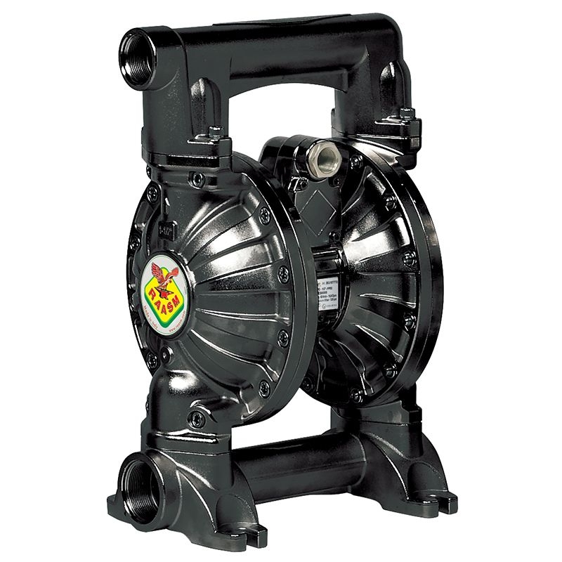 Bơm màng khí nén Raasm Italy 3C1/4066VNHH