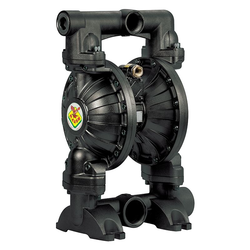 Bơm màng khí nén Raasm Italy 3C3/5066VEAA