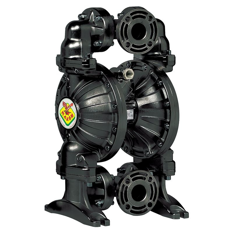 Bơm màng khí nén Raasm Italy 3C6/5066VTTP 2