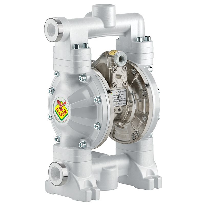 Bơm màng khí nén Raasm Italy 2B3/16117EA5
