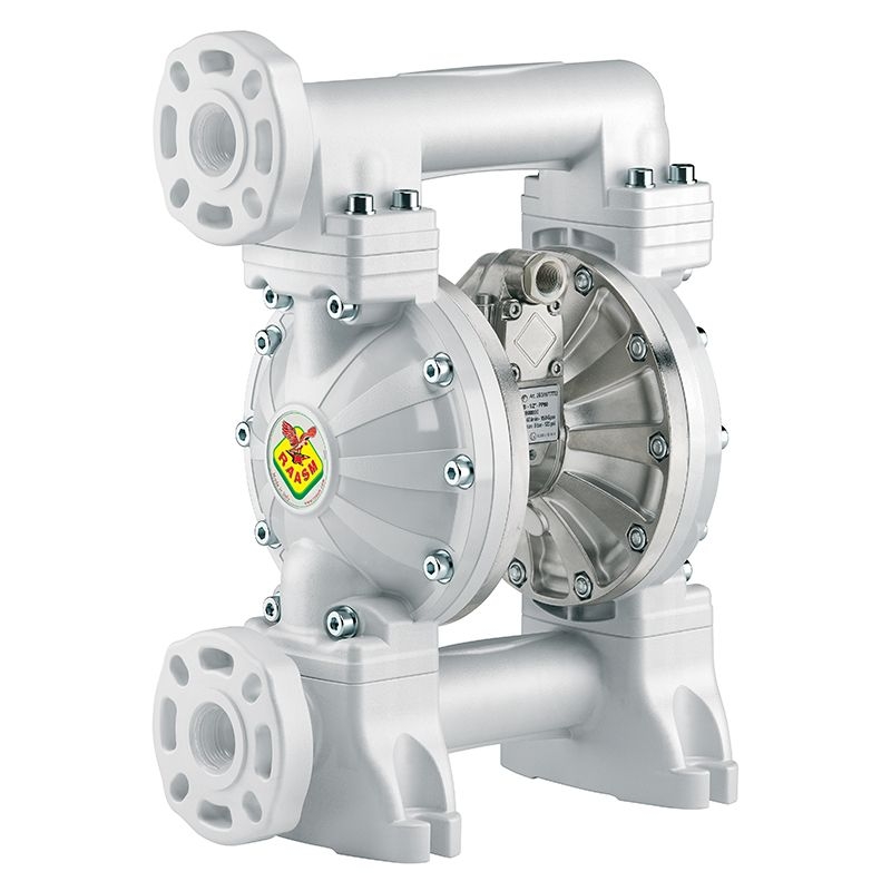 Bơm màng khí nén Raasm Italy 2B4/26117EAI
